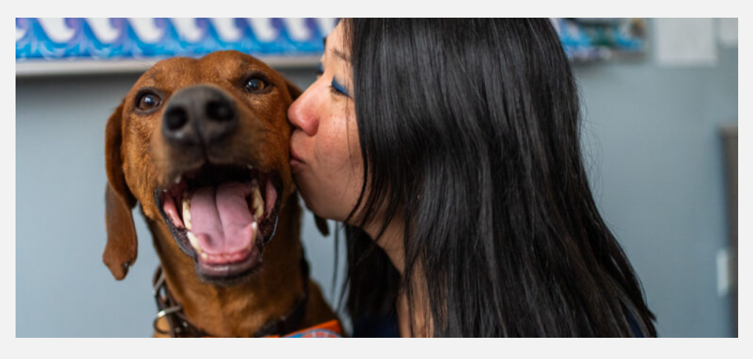 New York City News Service story thumbnail
