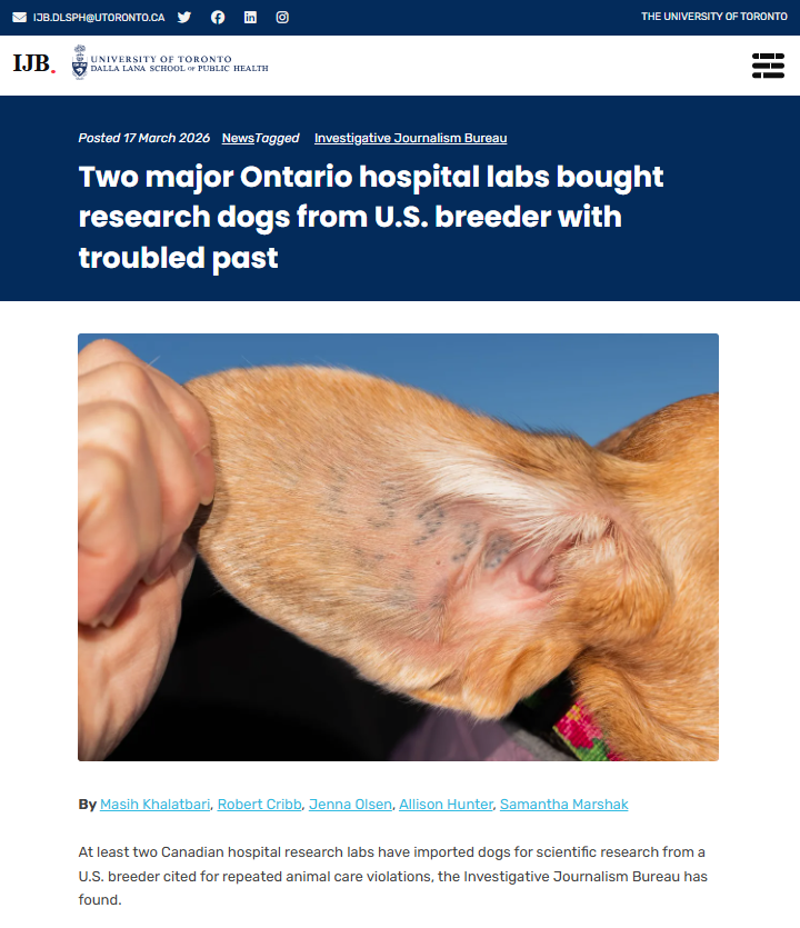 Screenshot of Investigative Journalism Bureau article: Two major Ontario hospital labs bought research dogs from U.S. breeder with troubled past