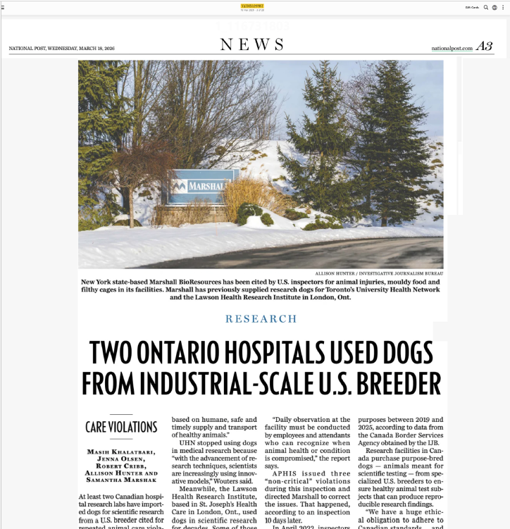 Screenshot of National Post article: Two major Ontario hospitals used dogs from industrial-scale U.S. breeder